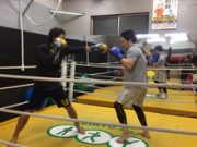 充実のヘビー級練習